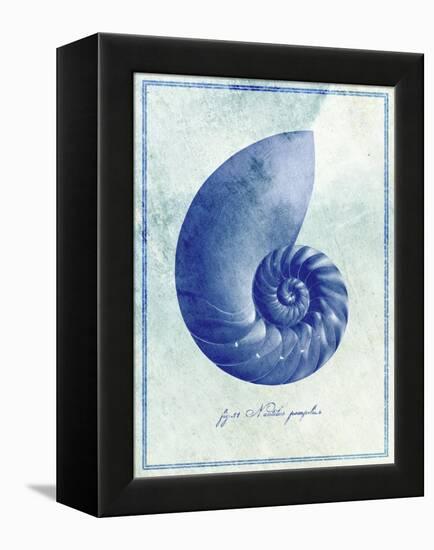 Nautilus Shell B-GI ArtLab-Framed Premier Image Canvas