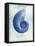 Nautilus Shell B-GI ArtLab-Framed Premier Image Canvas