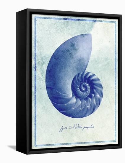 Nautilus Shell B-GI ArtLab-Framed Premier Image Canvas