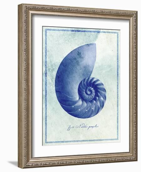 Nautilus Shell B-GI ArtLab-Framed Giclee Print