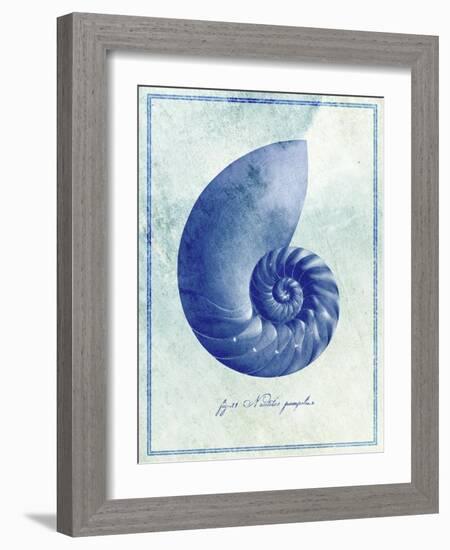 Nautilus Shell B-GI ArtLab-Framed Giclee Print