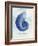 Nautilus Shell B-GI ArtLab-Framed Giclee Print