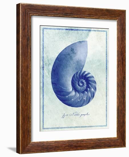 Nautilus Shell B-GI ArtLab-Framed Giclee Print