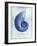 Nautilus Shell B-GI ArtLab-Framed Giclee Print