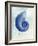 Nautilus Shell B-GI ArtLab-Framed Giclee Print