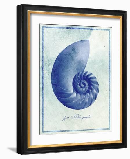 Nautilus Shell B-GI ArtLab-Framed Giclee Print