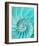 Nautilus Shell II-null-Framed Premium Giclee Print