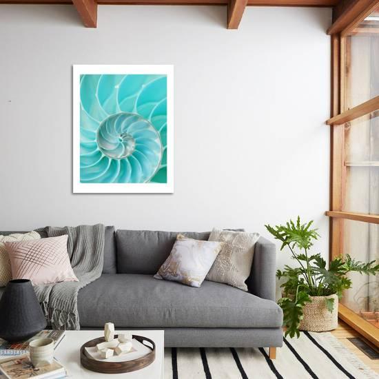 Nautilus Shell Ii Art Print Art Com