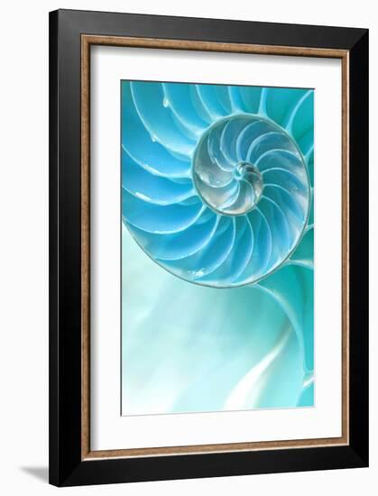 Nautilus Shell-null-Framed Art Print