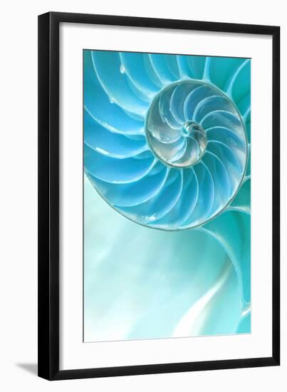 Nautilus Shell-null-Framed Art Print