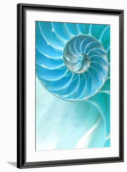 Nautilus Shell-null-Framed Art Print