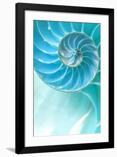 Nautilus Shell-null-Framed Art Print