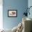 Nautilus Shell-Lawrence Lawry-Framed Premier Image Canvas displayed on a wall