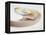 Nautilus Shell-Lawrence Lawry-Framed Premier Image Canvas