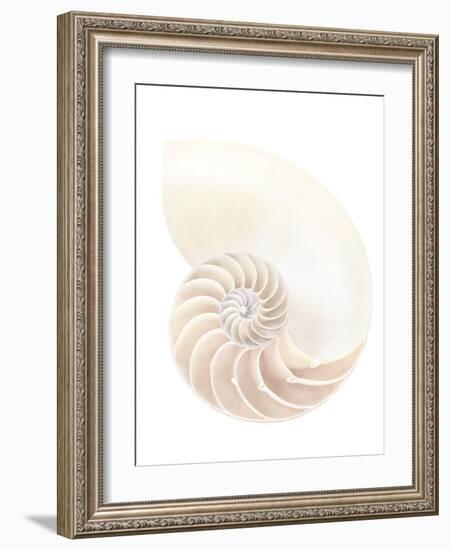 Nautilus Shell-Gavin Kingcome-Framed Photographic Print