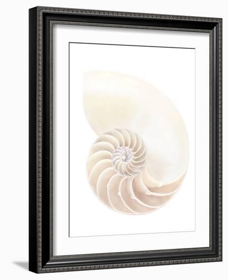 Nautilus Shell-Gavin Kingcome-Framed Photographic Print