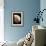 Nautilus Shell-Gavin Kingcome-Framed Photographic Print displayed on a wall