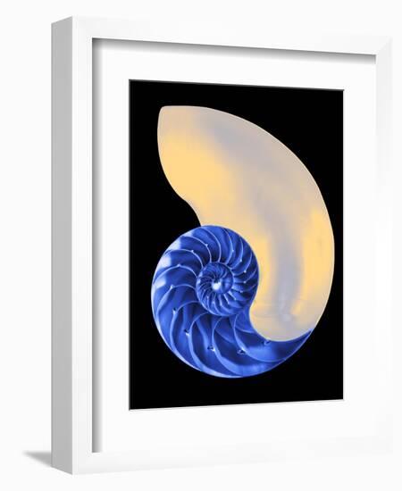 Nautilus Shell-Babar760-Framed Art Print