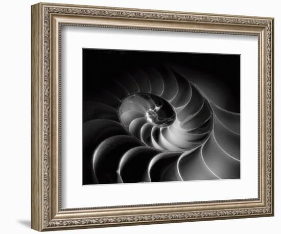 Nautilus Spiral-George Oze-Framed Photographic Print