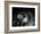 Nautilus Spiral-George Oze-Framed Photographic Print