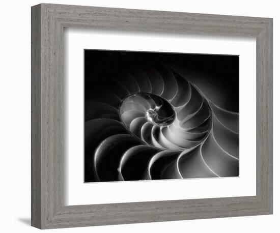 Nautilus Spiral-George Oze-Framed Photographic Print