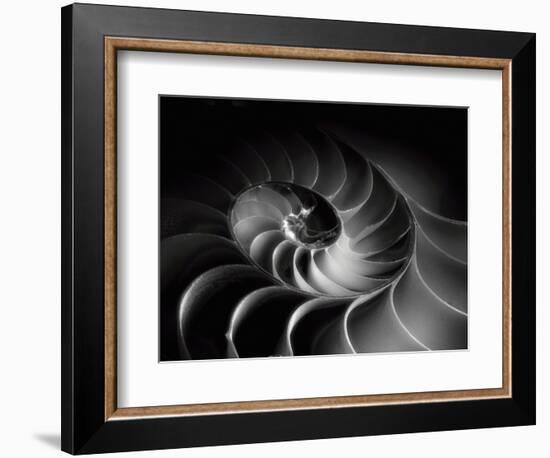 Nautilus Spiral-George Oze-Framed Photographic Print