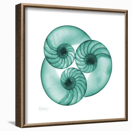 Nautilus Trio-Albert Koetsier-Framed Art Print