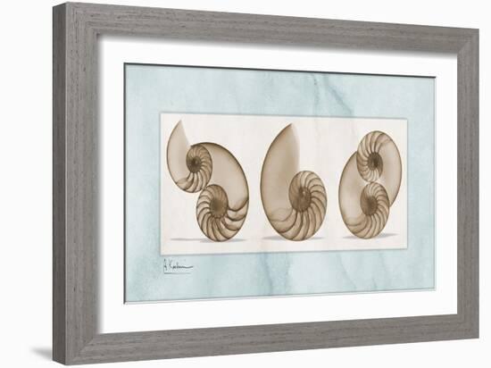 Nautilus Trio-Albert Koetsier-Framed Art Print