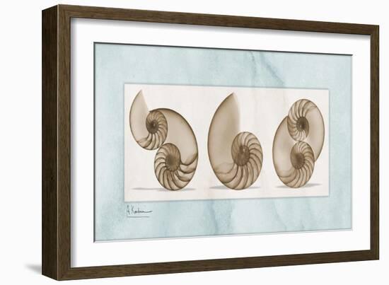 Nautilus Trio-Albert Koetsier-Framed Art Print