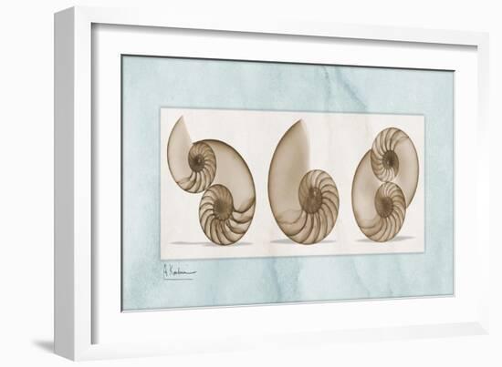 Nautilus Trio-Albert Koetsier-Framed Art Print