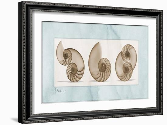 Nautilus Trio-Albert Koetsier-Framed Art Print