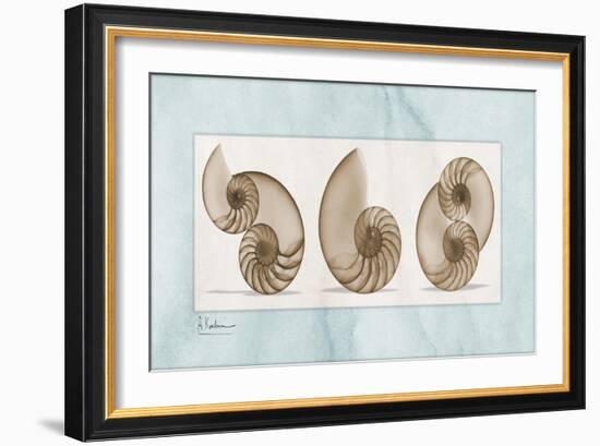 Nautilus Trio-Albert Koetsier-Framed Art Print