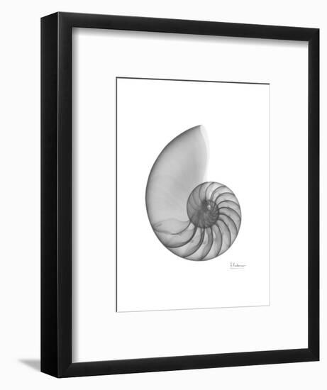 Nautilus Xray-Albert Koetsier-Framed Premium Giclee Print