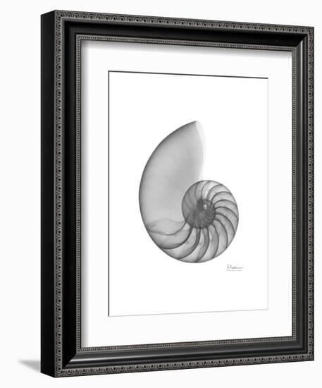 Nautilus Xray-Albert Koetsier-Framed Premium Giclee Print