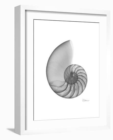 Nautilus Xray-Albert Koetsier-Framed Premium Giclee Print