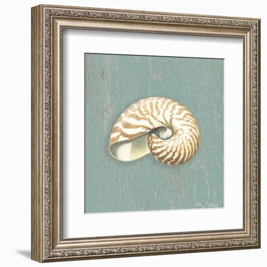 Nautilus-Lisa Danielle-Framed Art Print