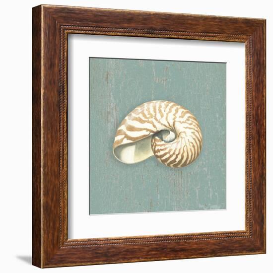 Nautilus-Lisa Danielle-Framed Art Print