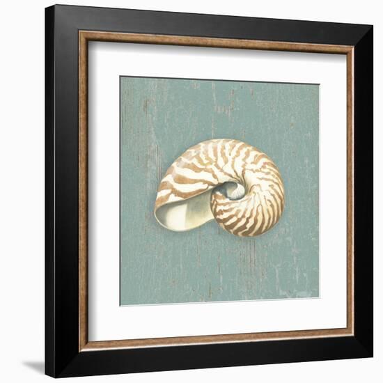 Nautilus-Lisa Danielle-Framed Art Print