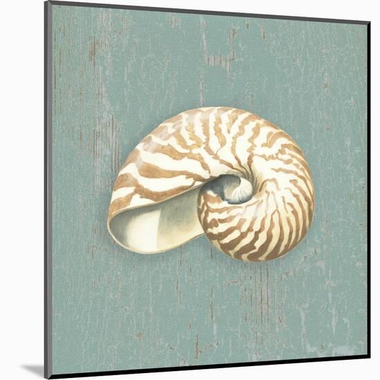 Nautilus-Lisa Danielle-Mounted Art Print
