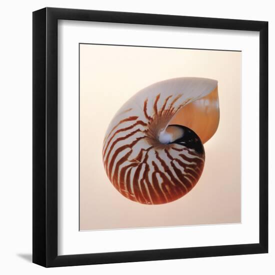 Nautilus-Tom Artin-Framed Art Print