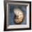 Nautilus-John Golden-Framed Giclee Print