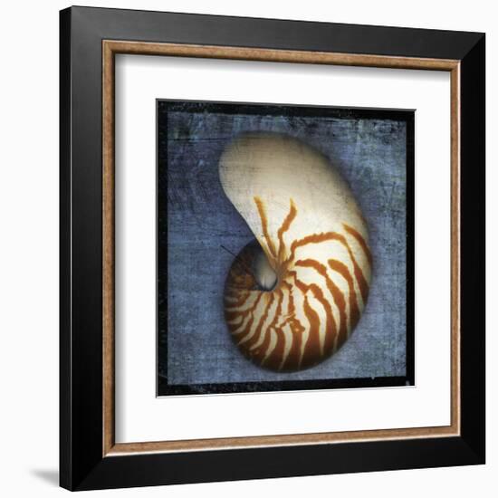 Nautilus-John Golden-Framed Giclee Print