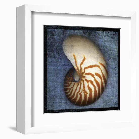 Nautilus-John Golden-Framed Giclee Print