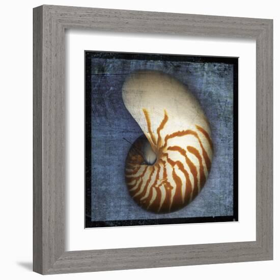 Nautilus-John Golden-Framed Giclee Print