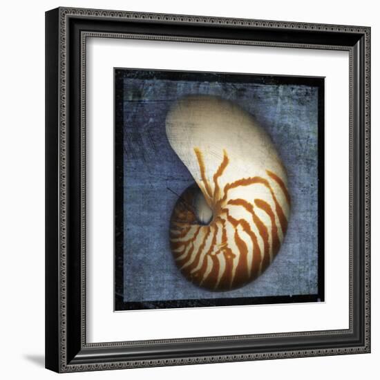 Nautilus-John Golden-Framed Giclee Print