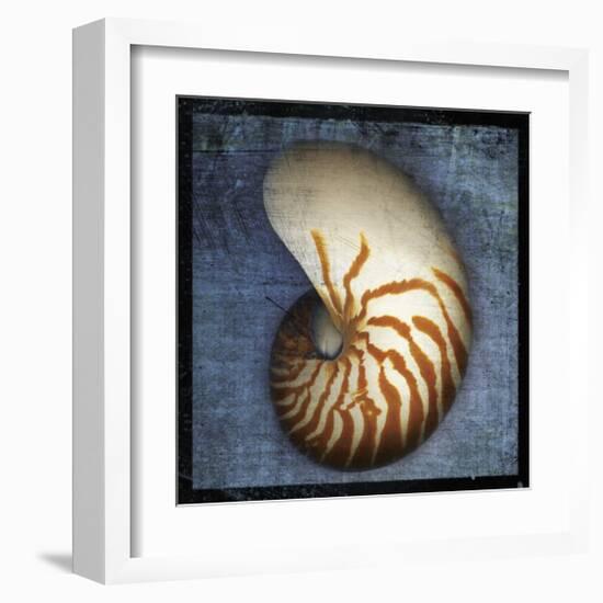 Nautilus-John Golden-Framed Giclee Print