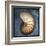 Nautilus-John Golden-Framed Art Print