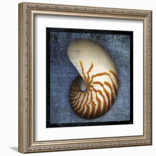 Nautilus-John Golden-Framed Art Print