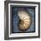 Nautilus-John Golden-Framed Art Print