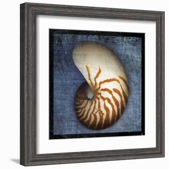 Nautilus-John Golden-Framed Art Print